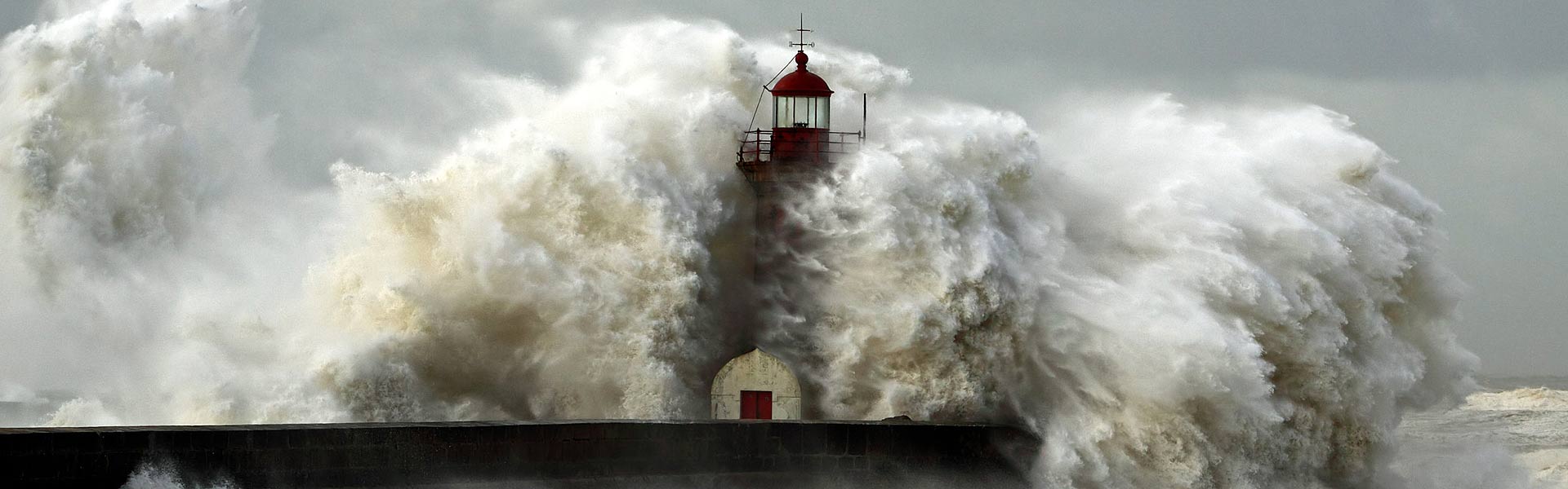 Impressum project biz