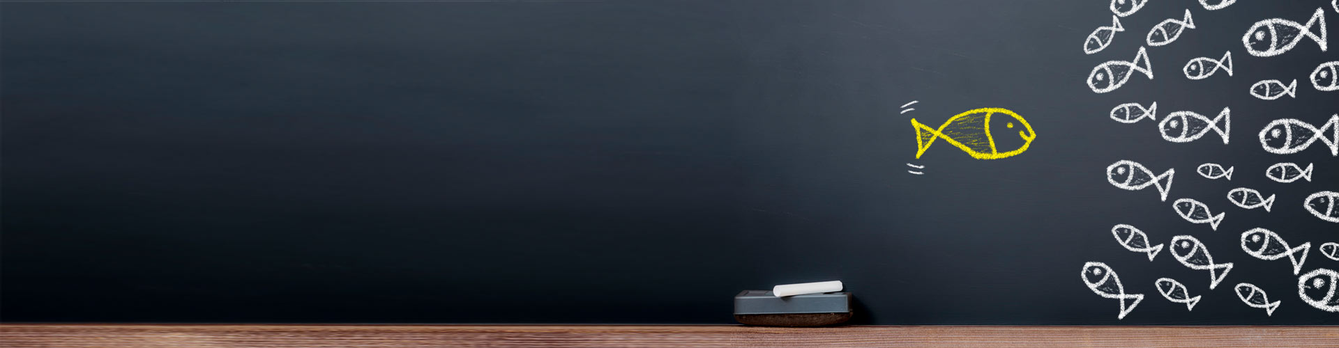 Leistungen project biz